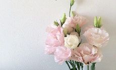 如何保持亲情关系对健康的积极影响:一些简短的建议