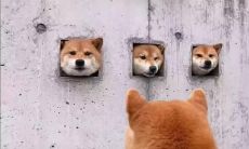 超级逗趣的沙雕文案，让人忍俊不禁且喜感十足！