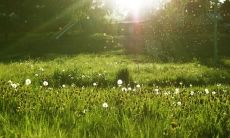 超级无敌美丽动人的清晨阳光所引发出来的唯美至极让人叹为观止的句子!