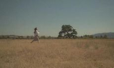 揭露2021年最具讽刺的情境和时刻所营造出的令人啼笑皆非的口号和语句