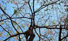 享受每一天，用这些美好的早安句子唤醒您的灵魂和心灵！