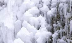 朋友圈分享冬日芬芳:满眼雪色,白茫茫的世界让人心旷神怡