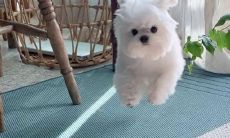 十分萌又充满潮流感的短语,带着奶妈般的亲切感,适用于各种社交平台上的分享与表达