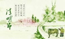 深刻感悟：清明时节，怀念逝去的亲人，缅怀历史中的牺牲者，表达亲情与尊重的真挚情感!