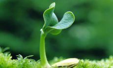 心情短句说说：探究情绪表达和心理健康之间的关系