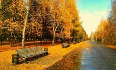 一堆美妙的秋季抒情句子,轻轻吟唱着美丽的季节之歌