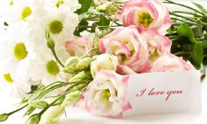 如何用送花卡片的简短表白内容表达深情?