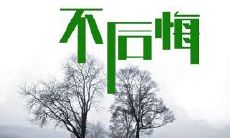 分享我的格言:我不会留下遗憾的念头