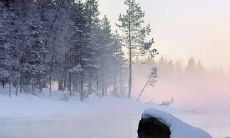 梦回唐朝：探究古诗中唯美唯美而又凄美的雪景描写