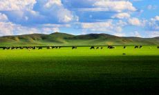 给家人和朋友发暑假问候短信,表达思念之情,缓解心理压力和孤寂感