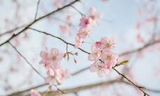 探究人生奥义的诗句：探寻哲理道路的启示录