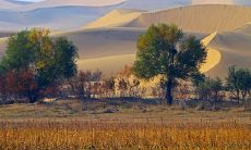 令人深思的地理座右铭：深入了解地球，探索无尽可能性！