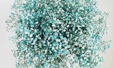 分享:我在生死关头获得的启示,深刻感悟重新出发的人生——一篇劫后重生的朋友圈心得