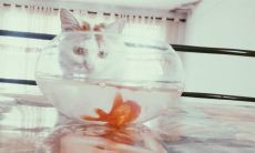 一些温暖安慰的句子，鼓励朋友开心面对生活中的挑战