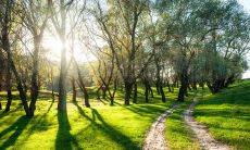 天气炎热,发出问候短信,表达心意