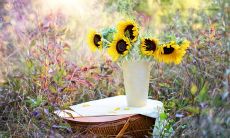 无可比拟的伟大情感-描绘亲情充满温情、深刻而美妙的句子