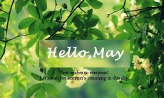 用图文并茂,分享2月的离别和迎接3月的期待