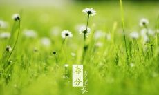 汇总春分节气祝福短信集锦,分享精彩问候语句,让你用最温馨的话语送给身边的亲朋好友!