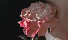 在成为排名榜首的过程中的得到的感悟和经验分享