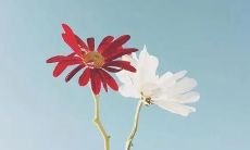 遇到下雨天开车的心路历程及感悟：分享在朋友圈的驾驶体验与安全建议