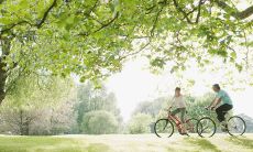 无尽美好事物：让您感到愉悦和满足的各种句子