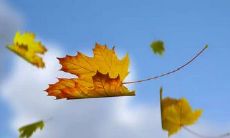 人生中遇到不顺心的事情的比例很可能高达八九成