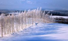 十二月的美丽时光：生动描写十二月份的精彩句子