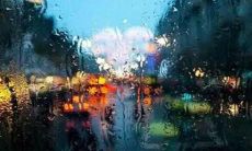 被绵绵细雨包裹的柔美景象：闲谈雨天，赏析美妙的雨滴，品味独特的氛围，沉浸在那轻柔静谧的雨中