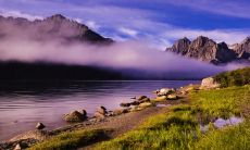 尽情感悟亲情,收获珍贵经典——一份关于亲情的长篇标题