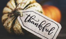 表达对感恩之情的句子,寄托着满满的真挚与感动