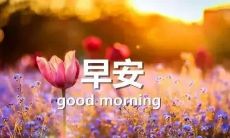 分享给好友的12月早安语,让你的朋友圈更温暖更美好