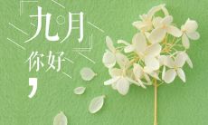 经过改写，可能更长且更精准的标题可以是：