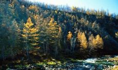 天气酷热,问候短信不可少!