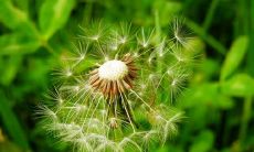 探讨家庭亲情之真谛：深挖兄弟姐妹间的感情成分