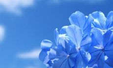 如何用甜言蜜语哄媳妇开心:老婆生气了,不妨试试这些温馨情话!