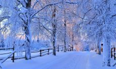 感受初雪落下的无限美妙:盘点那些抒情般的描写初雪的句子