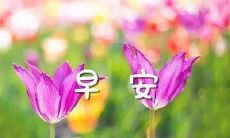 如何用正能量的问候句子在清晨开启美好一天？