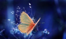 关于问候的短信,如何在快节奏的生活中表达温暖和关心之情?