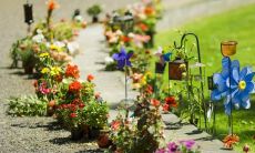 一段感人至深的描述父母与子女之间深厚亲情的句子