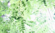 60句设计师人生格言座右铭,让你的创意飞扬之路越走越远!