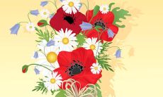 如何撰写一条给住院者的温馨问候短信？