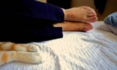 针对职业工作的励志短语:激发动力,提振信心,持续努力,追求卓越,永不放弃!