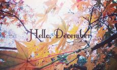 探寻2021年十二月份最美朋友圈文案,打造心灵共鸣的社交媒体魅力!