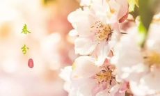 欣赏2022年春分季节下拓荒友谊的唯美句子,分享至朋友圈!