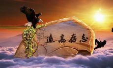 30句励志经典语句,启迪心灵,提振士气,助力成功之路