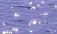 女性走向自我独立，追寻梦想的勇气与毅力华丽呈现