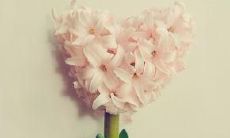 在此分享高质量的表达亲情和友情之间深刻关系的句子以及它们的启示力和情感价值