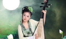 借用月亮的诗情画意来表达情感的句子