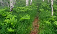 在父亲节上，最能打动你心灵深处的语句是什么？让我们一起致敬伟大的父亲们！