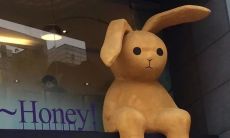 感叹在屏幕前敲下的悲伤文字：无声诉说的痛苦经历